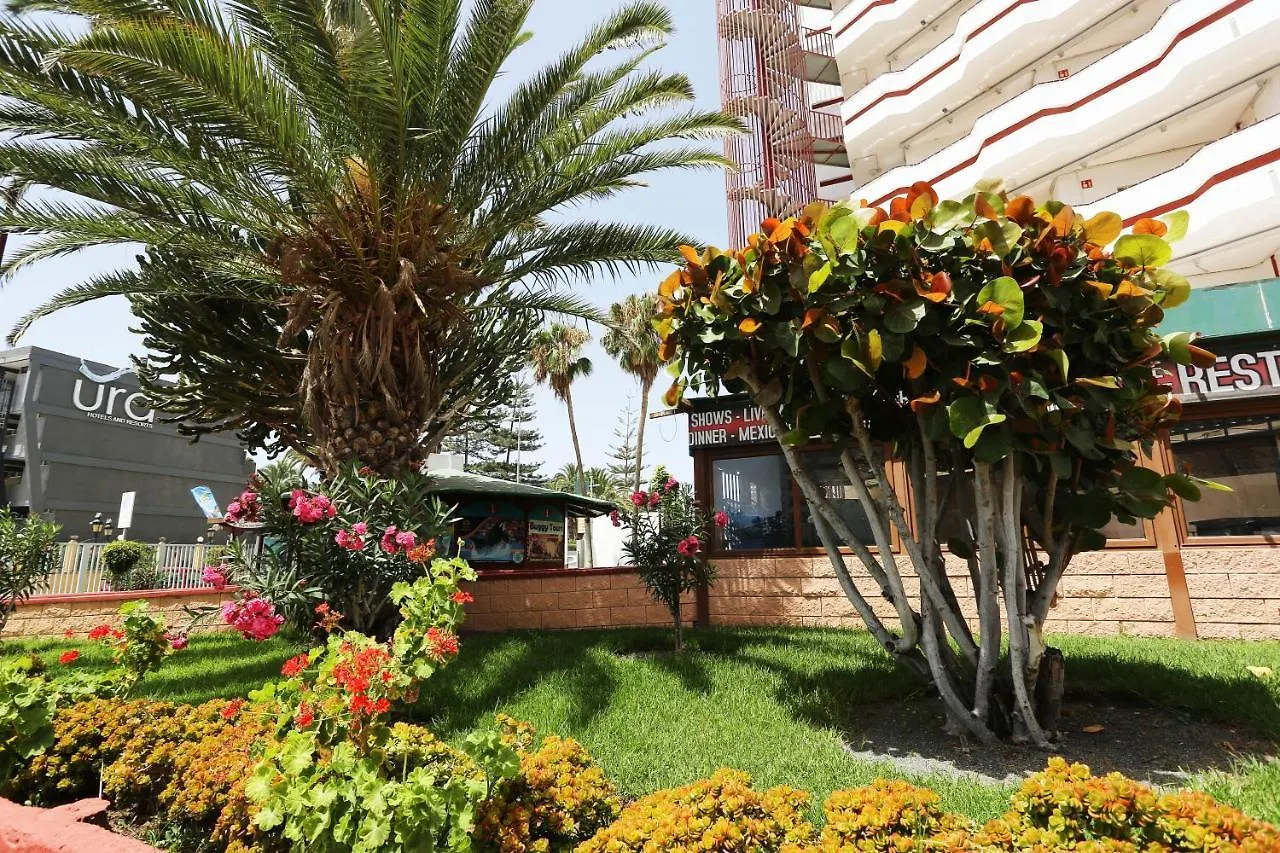 Agaete Parque: Apartamento Vista Piscina Playa del Ingles  Spain